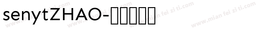 senytZHAO字体转换