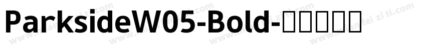 ParksideW05-Bold字体转换