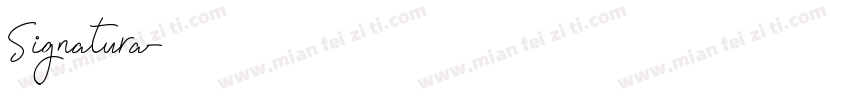 Signatura字体转换