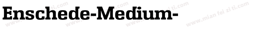 Enschede-Medium字体转换