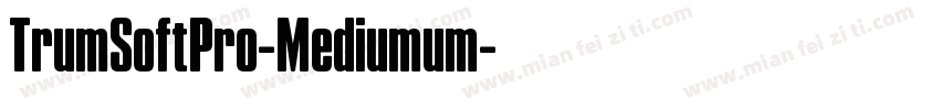 TrumSoftPro-Mediumum字体转换