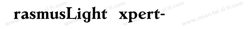 ErasmusLightExpert字体转换