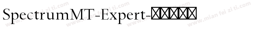 SpectrumMT-Expert字体转换