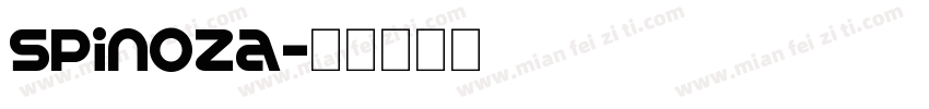 Spinoza字体转换