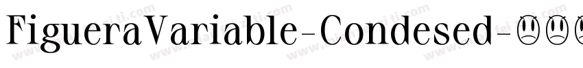 FigueraVariable-Condesed字体转换