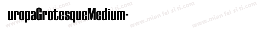 EuropaGrotesqueMedium字体转换