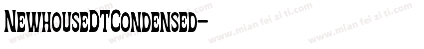NewhouseDTCondensed字体转换