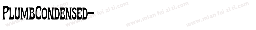 PlumbCondensed字体转换