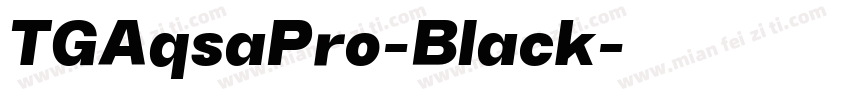 TGAqsaPro-Black字体转换