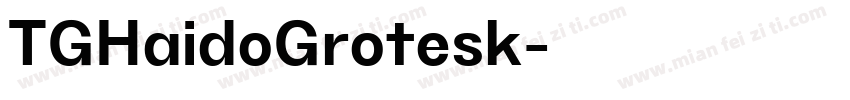 TGHaidoGrotesk字体转换