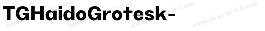 TGHaidoGrotesk字体转换