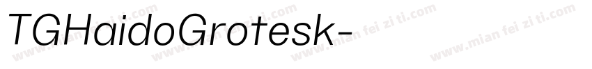TGHaidoGrotesk字体转换