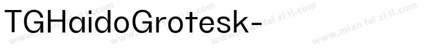TGHaidoGrotesk字体转换