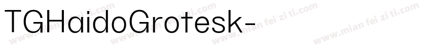 TGHaidoGrotesk字体转换
