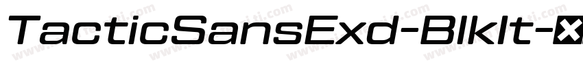 TacticSansExd-BlkIt字体转换