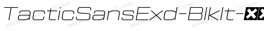 TacticSansExd-BlkIt字体转换