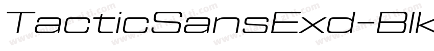 TacticSansExd-BlkIt字体转换