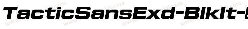 TacticSansExd-BlkIt字体转换