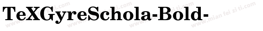 TeXGyreSchola-Bold字体转换
