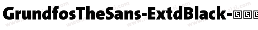 GrundfosTheSans-ExtdBlack字体转换