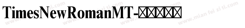 TimesNewRomanMT字体转换
