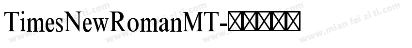 TimesNewRomanMT字体转换