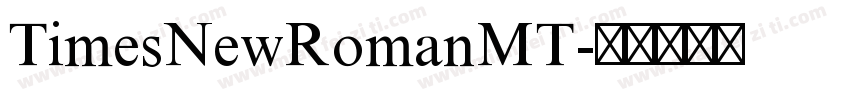 TimesNewRomanMT字体转换