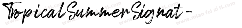 TropicalSummerSignat字体转换