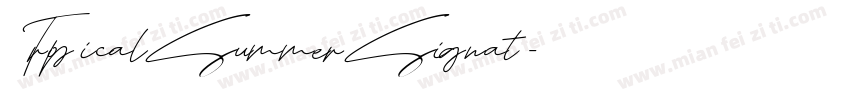 TropicalSummerSignat字体转换