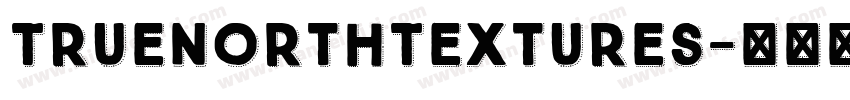 TrueNorthTextures字体转换