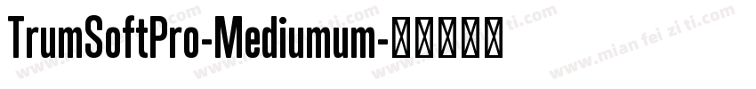 TrumSoftPro-Mediumum字体转换