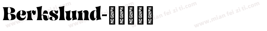 Berkslund字体转换