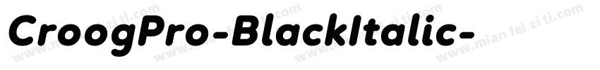 CroogPro-BlackItalic字体转换