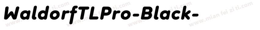 WaldorfTLPro-Black字体转换