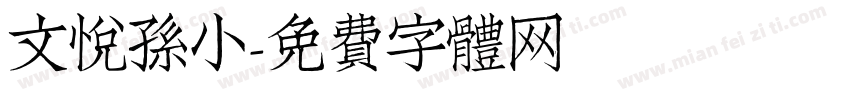 文悦孙小字体转换