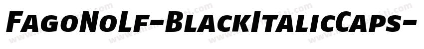 FagoNoLf-BlackItalicCaps字体转换