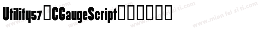 Utility57-CGaugeScript字体转换
