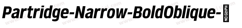 Partridge-Narrow-BoldOblique字体转换