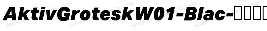 AktivGroteskW01-Blac字体转换