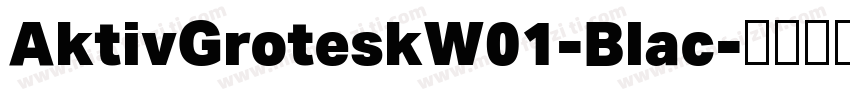 AktivGroteskW01-Blac字体转换