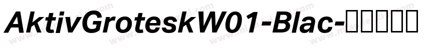 AktivGroteskW01-Blac字体转换