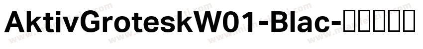 AktivGroteskW01-Blac字体转换