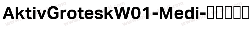 AktivGroteskW01-Medi字体转换