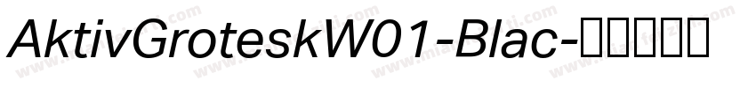AktivGroteskW01-Blac字体转换
