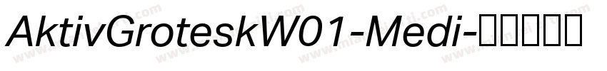 AktivGroteskW01-Medi字体转换