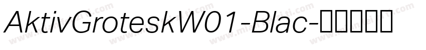 AktivGroteskW01-Blac字体转换