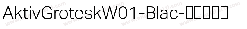 AktivGroteskW01-Blac字体转换