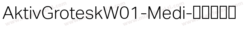 AktivGroteskW01-Medi字体转换