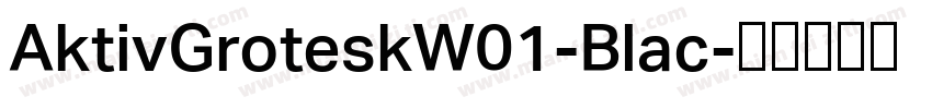 AktivGroteskW01-Blac字体转换