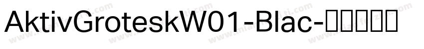 AktivGroteskW01-Blac字体转换